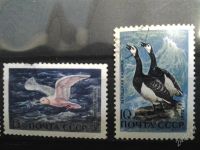 Лот: 2517323. Фото: 2. 1972 пернатые обитатели прибрежий... Коллекционирование, моделизм