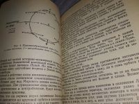 Лот: 19037046. Фото: 15. Альтшулер В. М., Гурвич В. М...