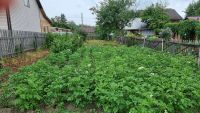 Лот: 25576694. Фото: 2. Продам Дачу 40м2 на участке 9... Продажа