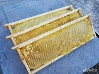 Лот: 17365881. Фото: 2. Куплю сушь рамки пчеловодства. Картины, панно