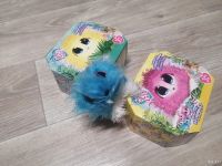 Лот: 18552191. Фото: 2. Пушистик-потеряшка scruff a luvs... Игрушки