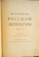 Лот: 20044339. Фото: 21. История русской литературы XIX...