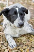 Лот: 6384216. Фото: 4. Девушка подросток ищет дом. Красноярск