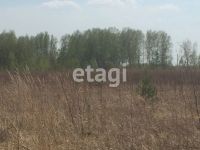 Лот: 25294908. Фото: 5. участок , садовые участки Штаны...