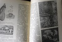 Лот: 20860454. Фото: 5. Аптека для растений. Книга для...