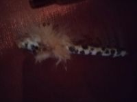 Лот: 25346596. Фото: 2. Обложка на блокнот и ручка в виде... Учёба (Школа, вуз)