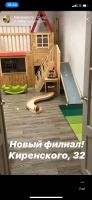 Лот: 15831136. Фото: 4. Сеть детских центров по системе... Красноярск