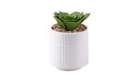 Лот: 24700273. Фото: 4. Растение искусственное Succulente... Красноярск