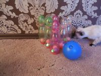 Лот: 6255165. Фото: 2. Игра боулинг детский со светящимися... Игрушки