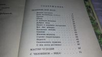 Лот: 9654559. Фото: 3. Среди лесов березовых (398). Литература, книги