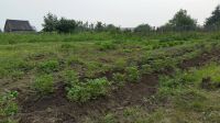 Лот: 14105127. Фото: 3. Участок 9 сот. (СНТ, ДНП). Недвижимость