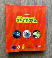 Лот: 17277212. Фото: 4. DVD диски. ВВС «Твои веселые друзья... Красноярск