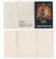 Лот: 10852987. Фото: 3. Открытки СССР Лесные обитатели... Коллекционирование, моделизм