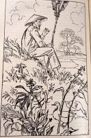 Лот: 20549348. Фото: 13. Зыонг Тху Хыонг - Дорогами юности...