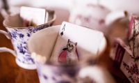 Лот: 15646133. Фото: 2. Карты Madison Kittens Deck от... Сувениры, подарки