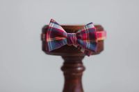 Лот: 3933107. Фото: 2. Галстуки-бабочки Baboon/яркая... Аксессуары