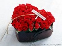 Лот: 5349284. Фото: 11. Цветы. Красивые и неординарные...