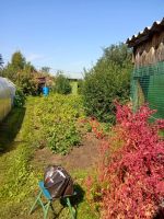 Лот: 23605112. Фото: 12. Красноярск г. СНТ Красноярец-4...