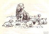 Лот: 15765064. Фото: 8. Перфильева Анастасия - Пять моих...