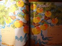 Лот: 8536640. Фото: 4. альбом первого года жизни малыша