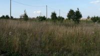 Лот: 11933990. Фото: 3. Земельный участок д.Лопатино. Недвижимость