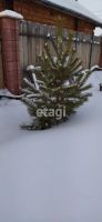 Лот: 25295274. Фото: 15. 2-комн. дом , СНТ Заречье СНТ...