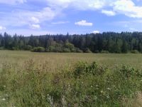 Лот: 4965816. Фото: 4. Земельный ~ 20сот, обмен на предложенное... Красноярск