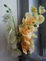 Лот: 13978728. Фото: 3. орхидеи искусственные 3шт одним... Сувениры, подарки