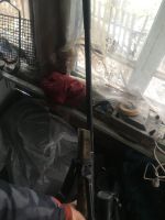 Лот: 16800954. Фото: 2. Пневматическая. Военно-спортивные игры