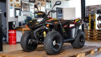 Лот: 20622755. Фото: 3. Квадроцикл СТЕЛС ATV 110A HUGO. Авто, мото, водный транспорт