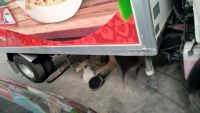 Лот: 11427250. Фото: 11. Ремонт Webasto Вебасто Гидроник...