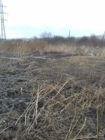 Лот: 13361728. Фото: 2. Продам 10 соток. ИЖС. с.Зыково... Продажа