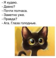 Лот: 6277533. Фото: 9. Антицеллюлитный массаж!!АКЦИЯ...