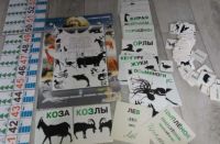 Лот: 19231786. Фото: 2. 240 картинок - пособие Зайцева... Дети растут