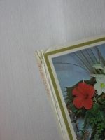 Лот: 15238826. Фото: 6. Жоголева В.Г. и др. Цветы. Комнатные...