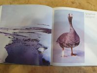 Лот: 20022553. Фото: 7. Красивые книги о природе и крае...