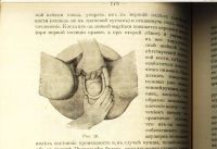 Лот: 20045026. Фото: 7. Н.С. Киселев. Краткий курс акушерства...