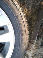 Лот: 13130153. Фото: 4. Nokian nordman 5 205/55/16 резина... Красноярск