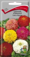 Лот: 7722259. Фото: 3. Рассада цинний - 5 сортов - 30... Для дачи, дома, огорода, бани, парка