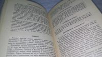 Лот: 11886945. Фото: 6. ок...Почему так названы? Кирилл...