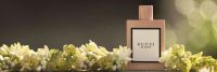 Лот: 12823379. Фото: 3. Gucci woman Bloom Туалетные духи... Красота и здоровье
