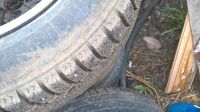 Лот: 8332047. Фото: 2. Pirelli Formula. Шины, Диски
