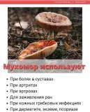 Лот: 25548036. Фото: 2. Настойка мухомор для растираний... Медицина