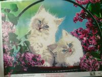 Лот: 5376451. Фото: 3. Картина "Котята", алмазная мозаика... Красноярск