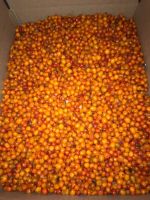 Лот: 12709600. Фото: 2. облепиха. Продукты