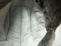 Лот: 13005335. Фото: 4. шапка -ушанка для мальчика 5-8лет. Красноярск