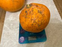 Лот: 6330247. Фото: 2. Тыква / тыквы / тыковки / 2 кг... Продукты