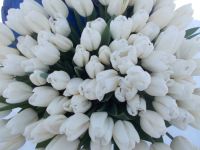 Лот: 16993368. Фото: 12. Тюльпаны оптом Darwi Snow Кемерово...