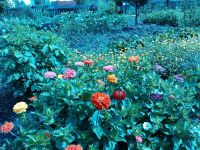Лот: 8620066. Фото: 2. Дача. Продажа