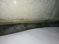 Лот: 13050144. Фото: 4. Волга 3110 в разбор, на ходу повтор... Красноярск